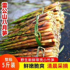 雷公山新鲜带壳八月笋